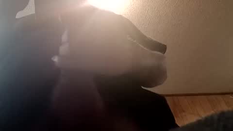 spundsrt online show from February 24, 12:48 pm