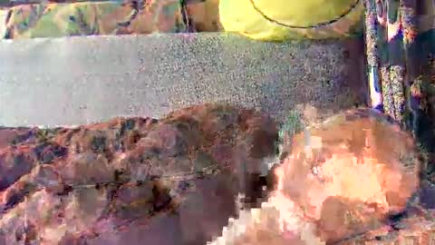 srekos38 online show from September 26, 8:55 am