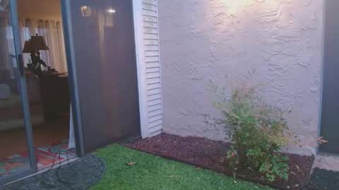 srtxshow online show from April 4, 12:01 pm