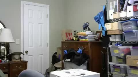 stasw20 online show from September 21, 5:39 pm