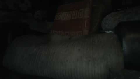 ste_wulf online show from March 4, 1:34 am