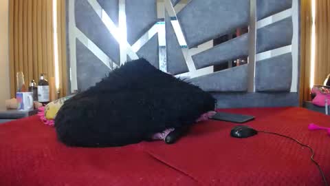 Stefan online show from December 17, 6:31 am