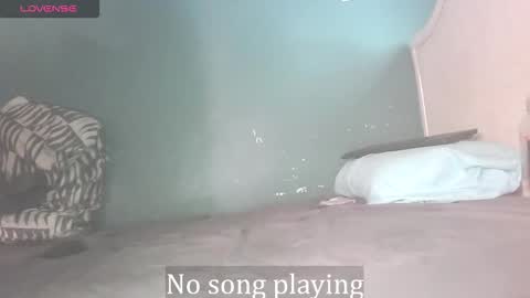 Stella Clitella online show from October 11, 11:59 am