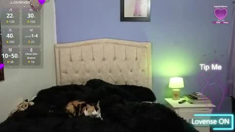 Stephania online show from June 11, 2:11 am