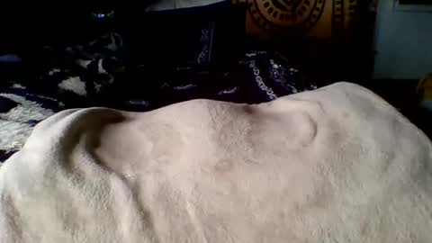 steviehard7 online show from March 12, 4:02 pm