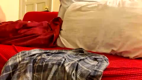 stickyjoe26 online show from November 9, 3:21 am