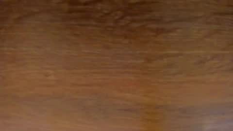 Snapshot of stone_lee_ chatting on February 13, 11:50 am Stone Lee online show from February 13, 11:50 am