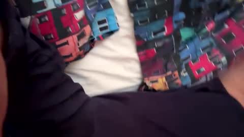 straycats2025 online show from October 27, 8:25 am