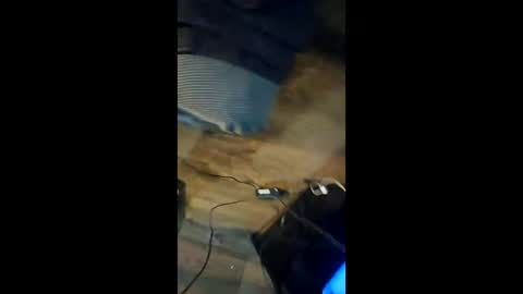 stroked_not_blown online show from December 1, 9:51 am