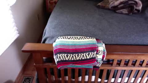 Submitted4u online show from January 12, 6:59 pm