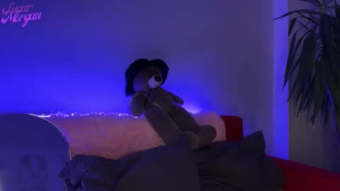 Morgan online show from January 11, 12:44 pm