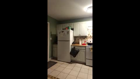 Sugarbotty31 online show from April 21, 2:51 am