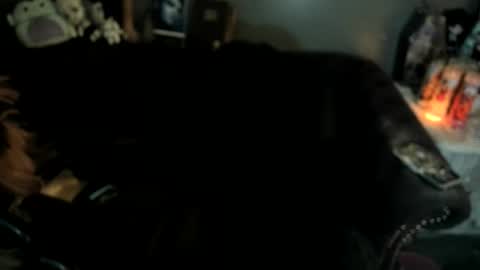 Sugary online show from January 19, 11:20 am