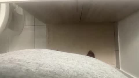 Snapshot of suggnight chatting on October 7, 9:11 pm Let me be your knight that saves you online show from October 7, 9:11 pm