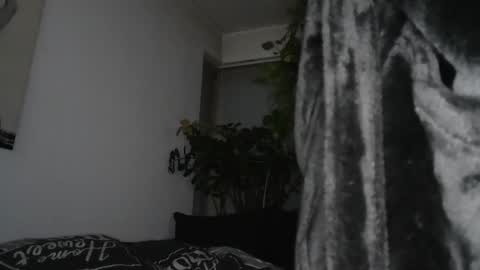 s online show from December 17, 7:59 pm