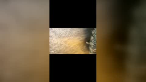 sunnset24 online show from February 23, 6:48 am