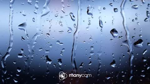 sven online show from February 25, 8:45 pm