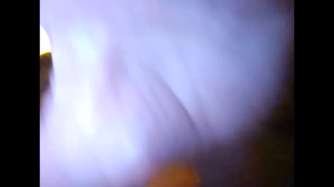 Suntroll online show from February 7, 11:01 am