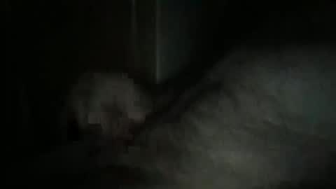 sweetpussylicks online show from February 18, 12:05 am