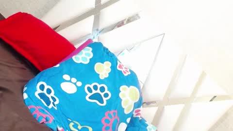 sweetsultrysiren online show from November 25, 5:39 am