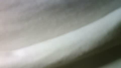 syrius57920 online show from February 22, 5:46 pm