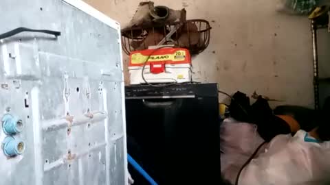 tadfn online show from January 18, 1:40 pm