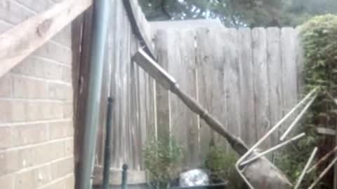 tadfn online show from November 1, 10:20 pm