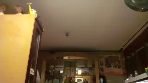 taliban809 online show from February 18, 8:05 am