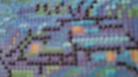 Tali Majid online show from February 4, 4:55 pm