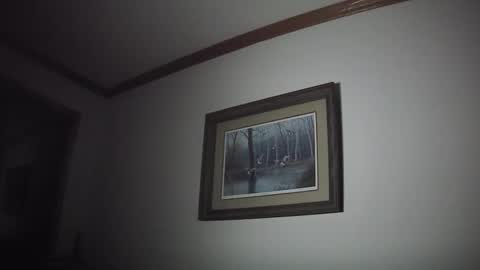 tallnfitstud online show from November 21, 11:08 am