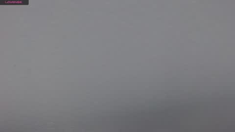 Tamara online show from February 8, 6:22 pm