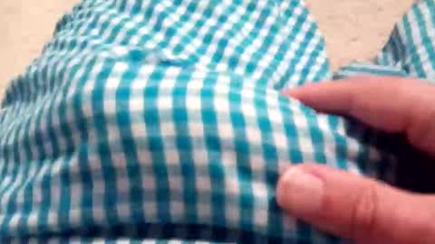 tastemez online show from December 1, 8:01 am