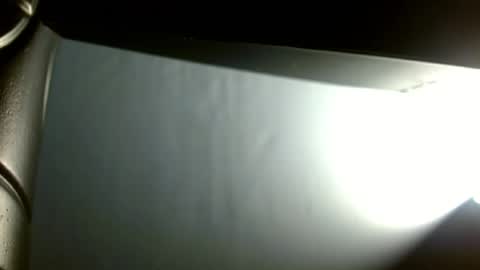 tasty_trexie online show from July 27, 4:32 am