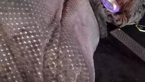 Jean pool online show from December 17, 3:46 am