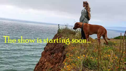 TATUM  ALL MY LINKS  online show from May 13, 9:13 pm