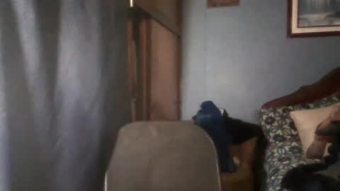 Fabio Canavaro online show from December 18, 1:23 am