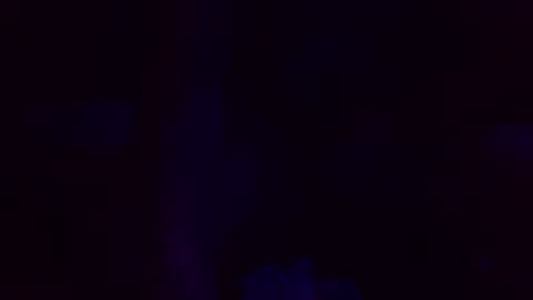 teyrey29 online show from February 27, 8:18 am