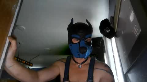 thatpupknox online show from April 7, 11:40 pm
