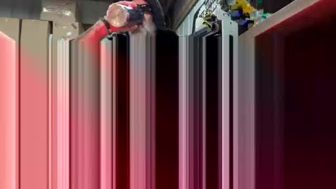 The Experimenter   online show from January 17, 6:50 pm