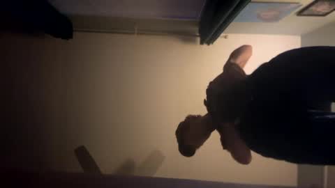 Snapshot of theonlyboi43ver chatting on January 2, 1:49 am theonlyboi43ver online show from January 2, 1:49 am