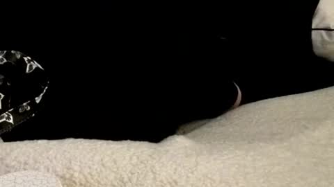 Snapshot of thgyuwnt2 chatting on October 21, 12:32 pm EslosLushes online show from October 21, 12:32 pm
