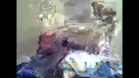 Snapshot of thickassvillageebony chatting on October 9, 9:15 am thickassvillageebony online show from October 9, 9:15 am