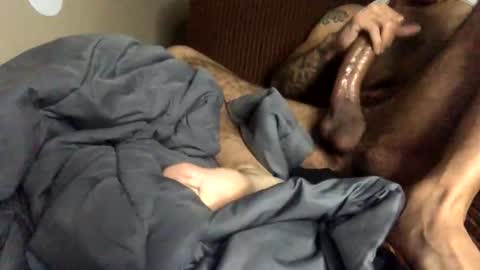 Mr. Perfect Dick online show from November 15, 4:47 am