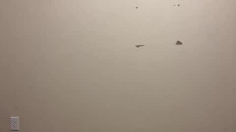 thickmorena online show from September 14, 5:32 am