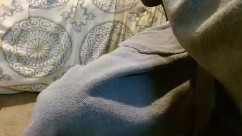 thiswillbefun783025 online show from October 14, 2:25 am