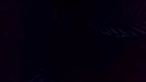 MysteriousTiddystiny online show from December 21, 1:17 pm