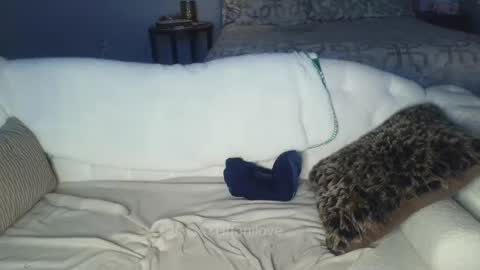 Snapshot of tiffanilove chatting on February 8, 1:00 am Tiffani Love online show from February 8, 1:00 am