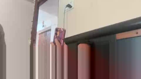 tigertinku online show from November 11, 6:04 am