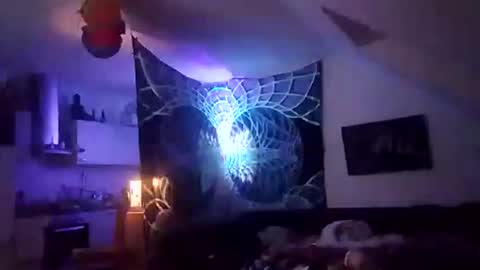 tigertrance online show from December 2, 12:53 am