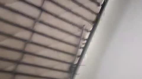 timmy808808 online show from January 3, 9:25 am